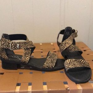 Sam Edelman circus sandals